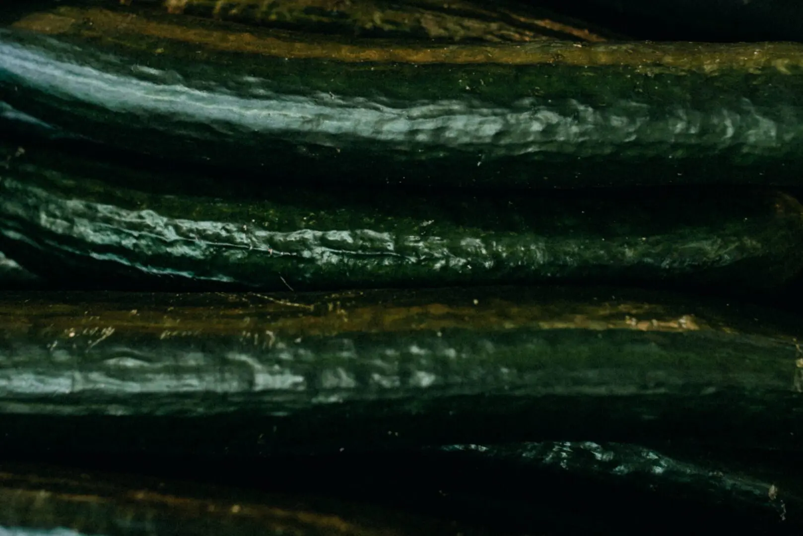 Íme, a zöld smoothie-k rejtett titkai!